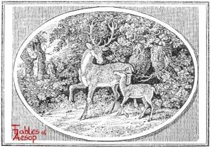 Bewick - 0175 - Stag and Fawn