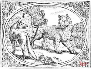 Croxall - Leopard and Fox