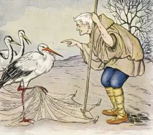 Crane and Stork