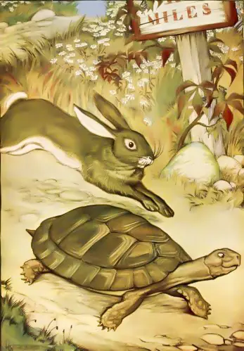 The Hare And The Tortoise Fables Of Aesop