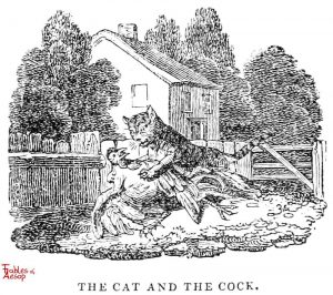 Whittingham - Cat and Cock