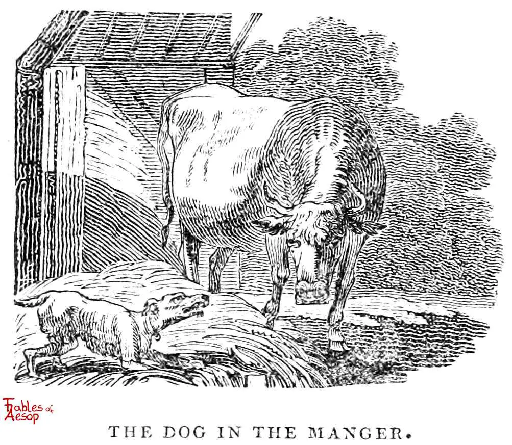 Dog In The Manger Meaning And Example