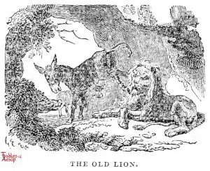 Whittingham - Old Lion