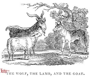 Whittingham - Wolf, Lamb, Goat