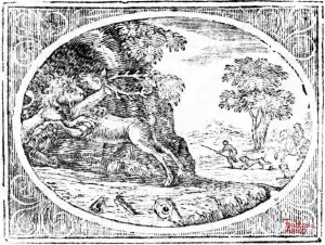 Croxall - Deer and Lion