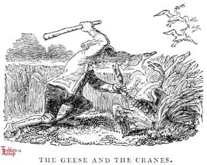 Whittingham - Geese and Crane