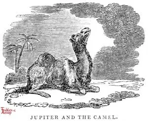 Whittingham - Jupiter and Camel