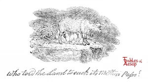 Bewick - 0198 - Sow and Bitch Bottom