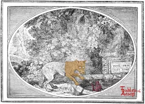 Bewick - 0345 - Fox in Well