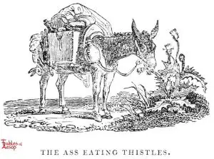 Whittingham - Ass Eating Thistles