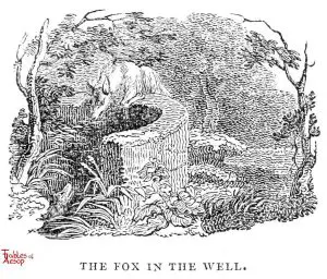 Whittingham - Fox in Well
