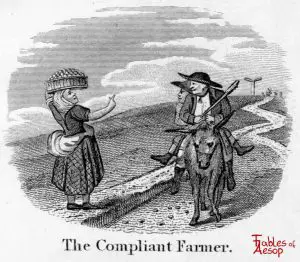Taylor - Compliant Farmer 0025