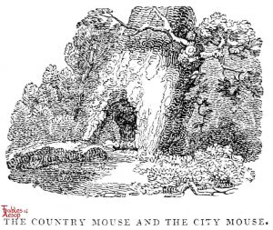 Whittingham - Country and City Mice