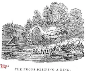 Whittingham - Frogs King