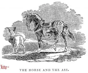 Whittingham - Horse and Ass