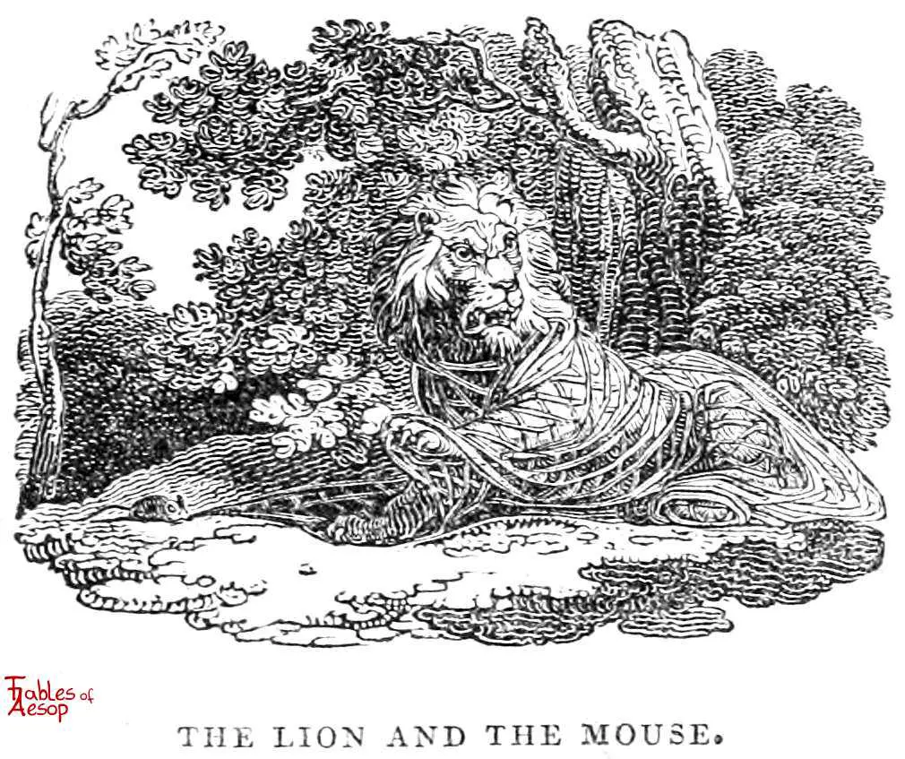 The Lion And The Mouse Fables Of Aesop