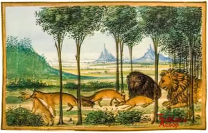 Gherardo 147 Lion Bear and Fox